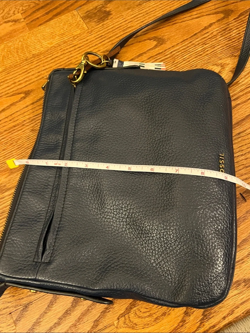 Fossil euc beautiful